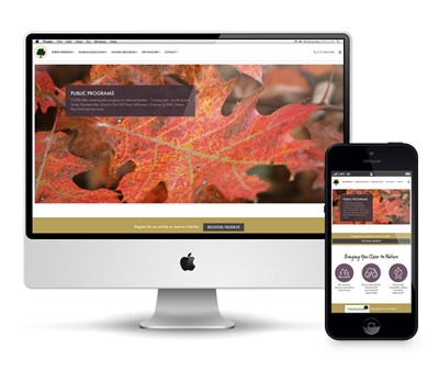 website picture